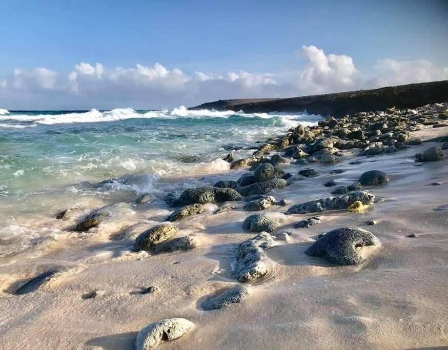 Aruba Condo The Pearl - At Eagle Beach - Minute Walk! Палм Бийч Екстериор снимка